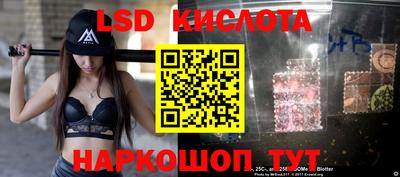 ГАЛЛЮЦИНОГЕННЫЕ ГРИБЫ Можга