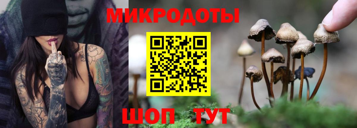 Галлюциногенные грибы Psilocybine cubensis  Вход с VPN  Унеча  Псилоцибиновые грибы MAGIC MUSHROOMS 
